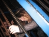 Jan 15th 2006_225