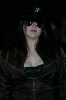 Asylum 2009